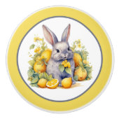 Schattigee citroen konijnenliefhebbers keuken keramische knop (Voorkant)