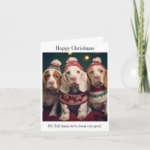 Schattigee Clumber Spaniels Kerst Kaart