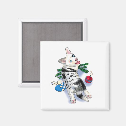 Schattigee Corgi blue merle Magneet (Voorkant / Achterkant)