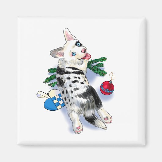 Schattigee Corgi blue merle Magneet (Voorkant)