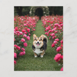 Schattigee Corgi in Rozen Briefkaart