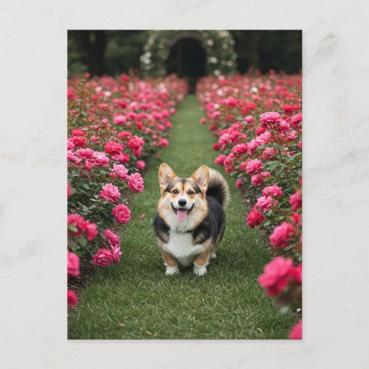 Schattigee Corgi in Rozen Briefkaart (Voorkant)