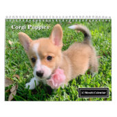 Schattigee Corgi Puppies 2026 Puppymuur Kalender (Hoes)