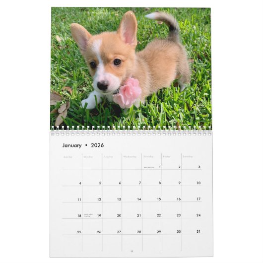 Schattigee Corgi Puppies 2026 Puppymuur Kalender (Jan 2026)