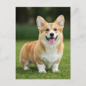 Schattigee Corgi Welsh Corgi Queen Briefkaart (Voorkant)