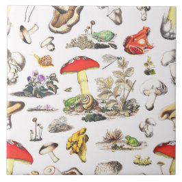 Schattigee Cottagecore Forest Mushroom Frogs Snail Tegeltje