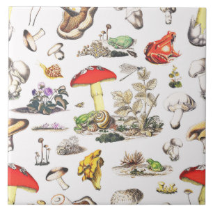 Schattigee Cottagecore Forest Mushroom Frogs Snail Tegeltje