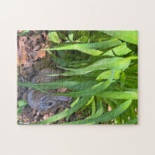 Schattigee Cottontail Konijn Zittend onder Tiger L Legpuzzel (Horizontaal)