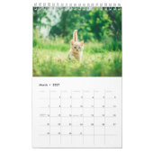 Schattigee Creëer Uw eigen Kat Pet Foto Kalender (Mar 2027)