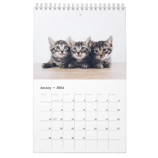 Schattigee Creëer Uw eigen Kat Pet Foto Kalender