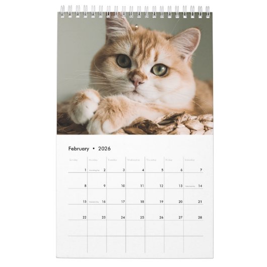 Schattigee Creëer Uw eigen Kat Pet Foto Kalender (Feb 2026)