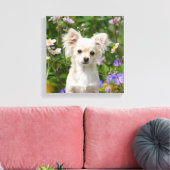 Schattigee crème Chihuahua Dog Puppy Foto - Verpak Canvas Afdruk (Insitu (Woonkamer))