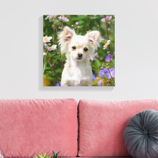 Schattigee crème Chihuahua Dog Puppy Foto - Verpak Canvas Afdruk (Insitu (Woonkamer))