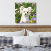 Schattigee crème Chihuahua Dog Puppy Foto - Verpak Canvas Afdruk (Insitu (Slaapkamer))