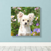 Schattigee crème Chihuahua Dog Puppy Foto - Verpak Canvas Afdruk (Insitu (Houten vloer))