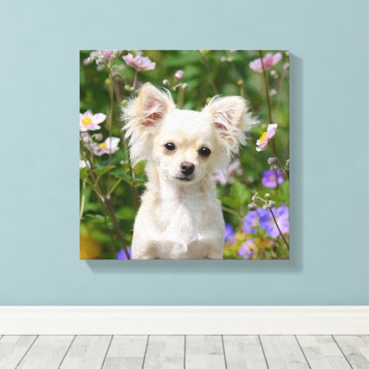 Schattigee crème Chihuahua Dog Puppy Foto - Verpak Canvas Afdruk (Insitu (Houten vloer))