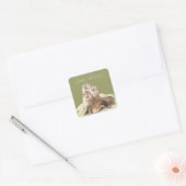 Schattigee Curious Seals, verzegeld met een Kiss Vierkante Sticker (Envelop)