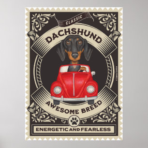 Schattigee Dachshund Rijden Vintage Auto Poster