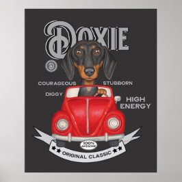 Schattigee Dachshund rijden voertuig Poster