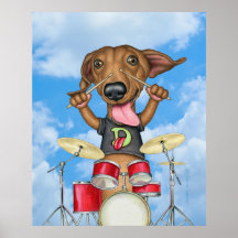 Schattigee Dachshund Spelen Drums