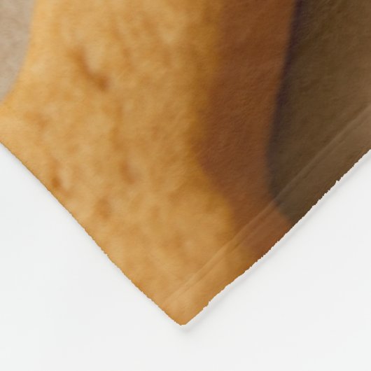 Schattigee Dalmatische gepersonaliseerde deken (Hoek)