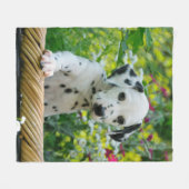 Schattigee Dalmatische Hond Puppy, comfort Fleece Deken (Voorkant (Horizontaal))