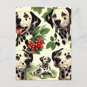  Schattigee Dalmatische Illustratie Briefkaart