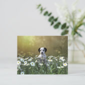 Schattigee Dalmatische puppy in madeliefjes Briefkaart (Staand voorkant)