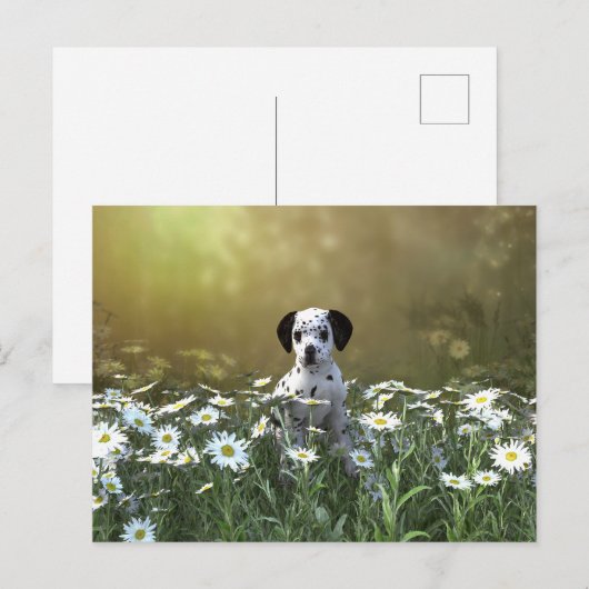 Schattigee Dalmatische puppy in madeliefjes Briefkaart (Voorkant / Achterkant)