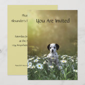 Schattigee Dalmatische puppy in madeliefjes Kaart (Voorkant / Achterkant)