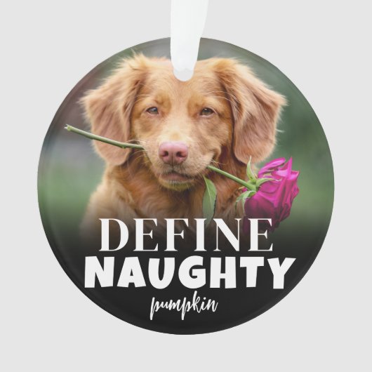 Schattigee definitie van stoute hond foto ornament (voorkant)