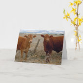 Schattigee dierenarts Afstuderen Gefeliciteerd Ran Kaart (Gele Bloem)