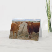 Schattigee dierenarts Afstuderen Gefeliciteerd Ran Kaart (Voorkant)