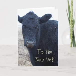 Schattigee dierenarts Afstuderen Gefeliciteerd Ran Kaart