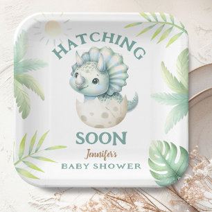 Schattigee Dino Triceratops Dinosaur Boy Baby show Papieren Bordje