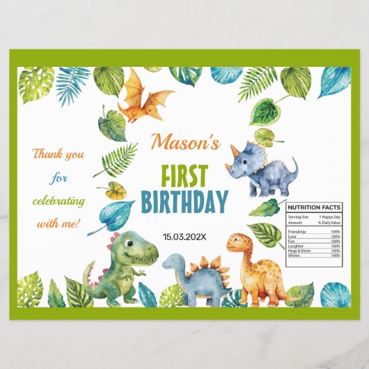 Schattigee Dinosaurus Eerste Verjaardag Chip Bag W Flyer (Voorkant)
