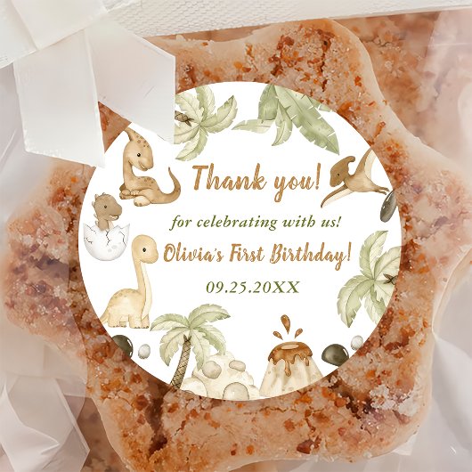 Schattigee Dinosaurus Jongen Verjaardagsfeestje Ronde Sticker