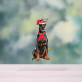 Schattigee Doberman Kerstboom Lights Hondenliefheb Acryl Bord (Neutraal)