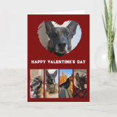 Schattigee Dog Photo Collage, Eenvoudige Rode Vale Kaart (Voorkant)