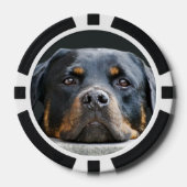 Schattigee Dog Photo Poker Chips (Voorkant)