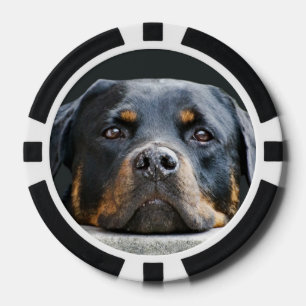 Schattigee Dog Photo Poker Chips