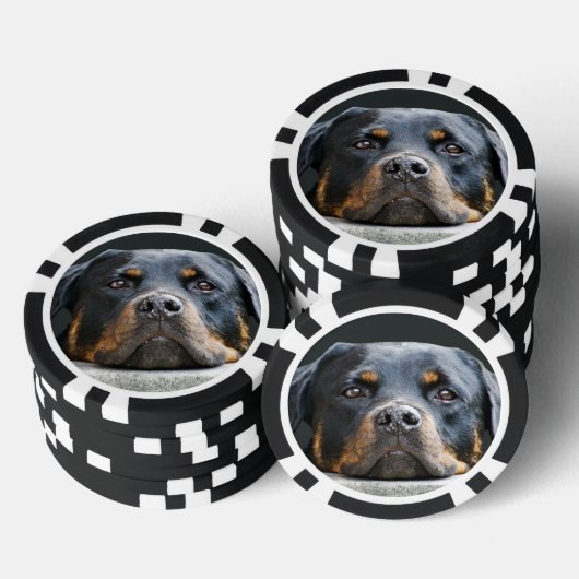 Schattigee Dog Photo Poker Chips (Opstapeling)