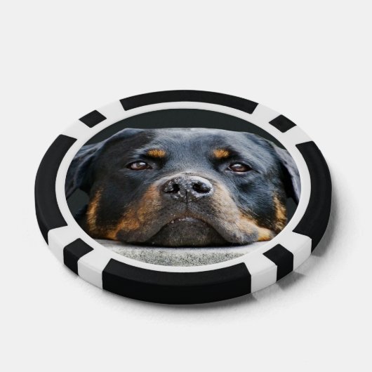 Schattigee Dog Photo Poker Chips (Enkel)