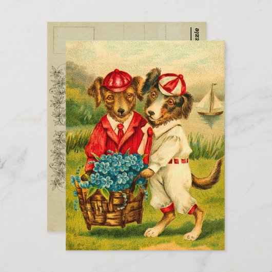 Schattigee Dogs Briefkaart (Voorkant / Achterkant)