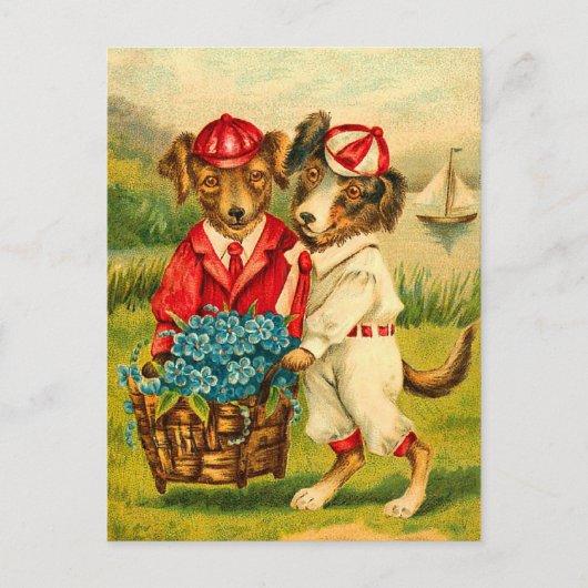 Schattigee  Dogs Briefkaart (Voorkant)