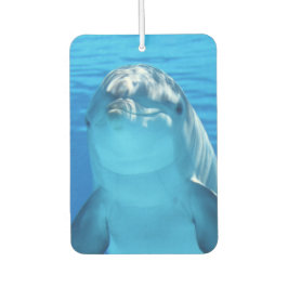 Schattigee dolfijn glimlachende oceaan dolfijn lie luchtverfrisser