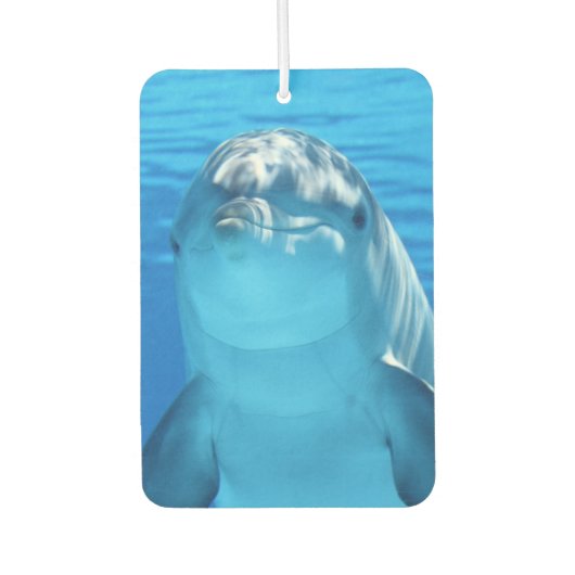 Schattigee dolfijn glimlachende oceaan dolfijn lie luchtverfrisser (Voorkant)