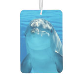 Schattigee dolfijn glimlachende oceaan dolfijn lie luchtverfrisser (Achterkant)