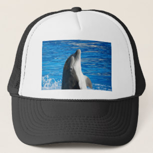 Schattigee Dolphin Beach Peace Love Party Destiny Trucker Pet