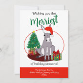 Schattigee Donkey Santa Hat Kerstmis Gepersonalise Feestdagenkaart (Voorkant)